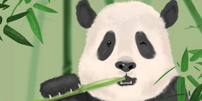 首個中國大熊貓國際形象出爐，網友看后不經“噗”的笑出聲